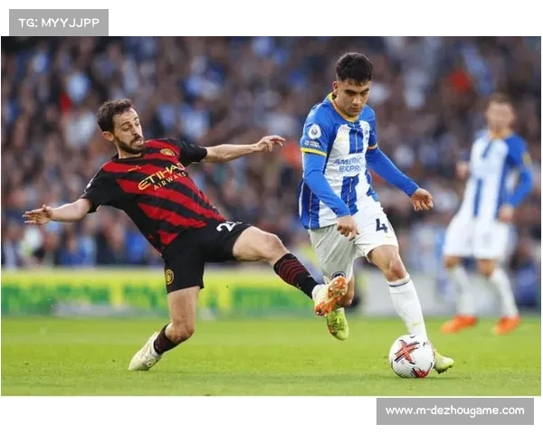 布莱顿表现波动，利兹联新赛季亮眼表现引关注